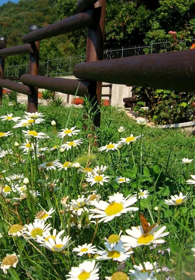Nocleg ze śniadaniem Bed and Breakfast Le Fiorini Gargnano