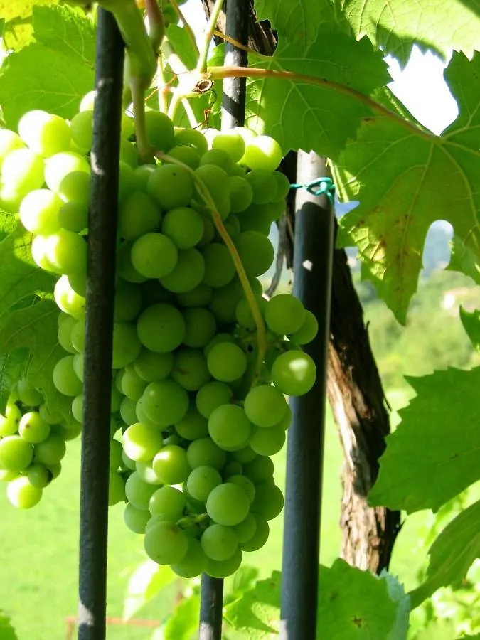 Le Fiorini Bed and Breakfast Gargnano